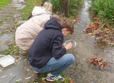 Von der Quelle bis zur Mündung – Gewässergütebestimmung (Kl. 5 – 10)