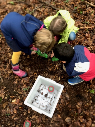 Wald- und Bodenwerkstatt  (Multiplikatoren aus Kitas, Grund- und Förderschulen, Sek I)