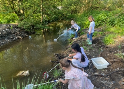 Bacherkundung (8 – 12 Jahre)