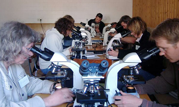 Eine Gruppe Erwachsene (Multiplikatoren beziehungsweise Lehrer) sitzen an Mikroskopen im Liz.