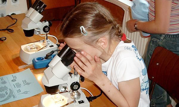 Eine Schülerin blickt in eine Mikroskop und untersucht einen Wassertropfen